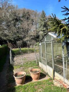 Back Garden 2.jpg