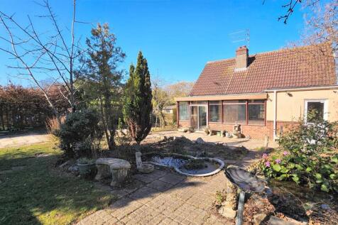 Back Garden