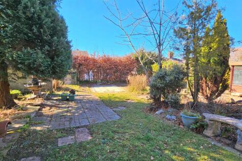 Back Garden