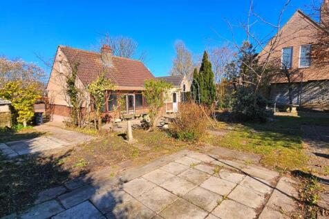 Back Garden