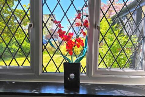 Window