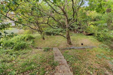 End of Rear Garden