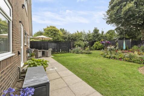 Patio Area