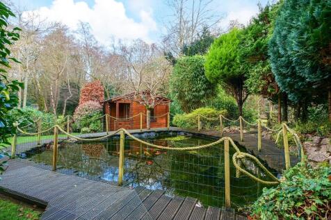 Fish pond