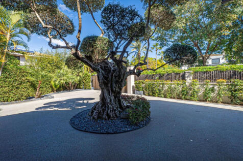 Property Image 61