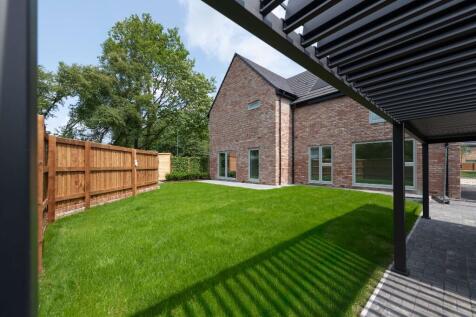 Back garden