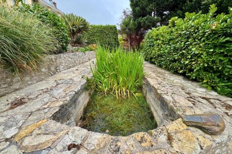 Front - Pond