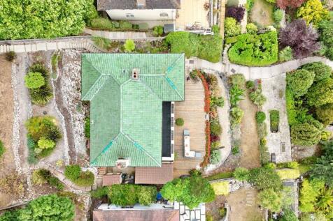 Plot View