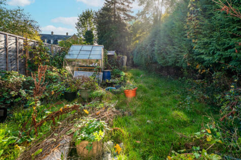 Oak Tree Avenue (1).JPG