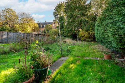 Oak Tree Avenue (2).JPG