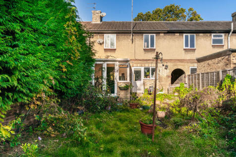 Oak Tree Avenue (3).JPG