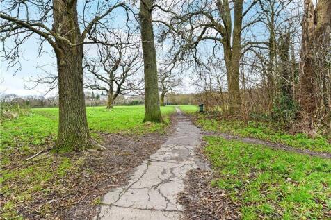 Hampstead Heath