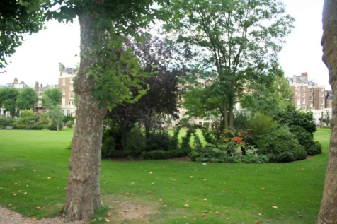 Communal Gardens