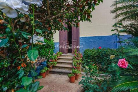 Jardín