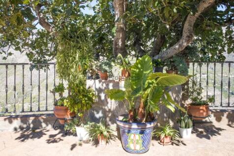 Property Image 54