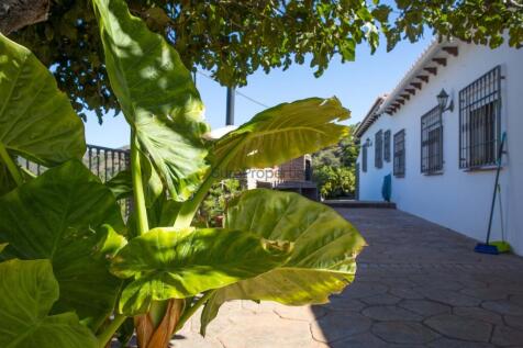 Property Image 66