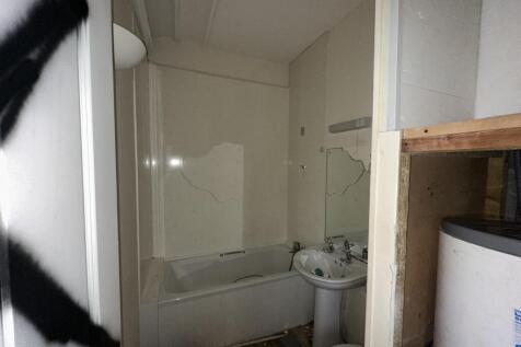 IMG 2453 T202503111600.jpeg