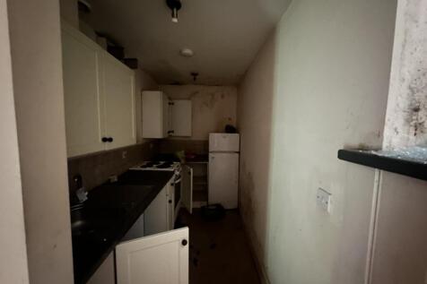 IMG 2456 T202503111602.jpeg