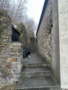 IMG 2429 T202503111610.jpeg