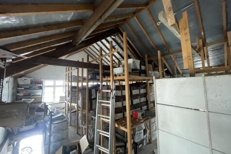 IMG 6929 T202506030917.jpeg