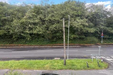 17 T202510031541.jpg