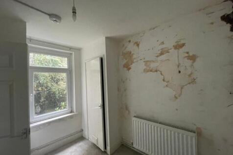 IMG 1505 T202510170939.jpeg