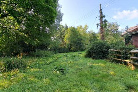 Garden 2 T202509191236.jpg