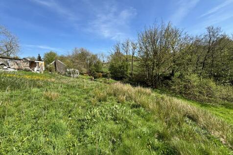 IMG 7826 T202508041512.jpg