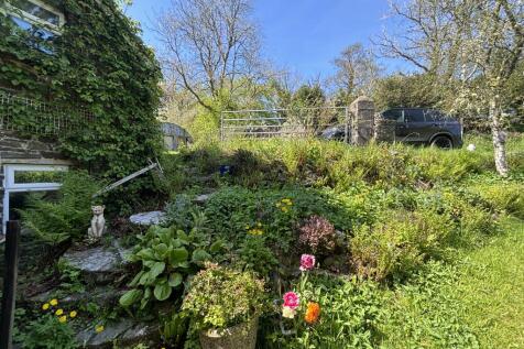 GARDEN 2 T202508041512.jpg