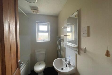 IMG 1749 T202510281609.jpeg