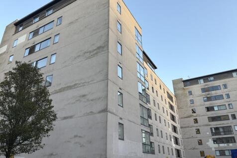 IMG 0579 T202511041522.jpeg