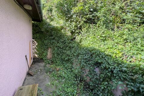 C0d929f0-084a-485b-8921-5b834a97fa64 T202509231118.jpg