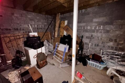 IMG 8198  Large  T202511031322.jpg