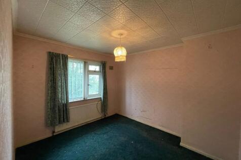 IMG 1331 T202510061434.jpeg