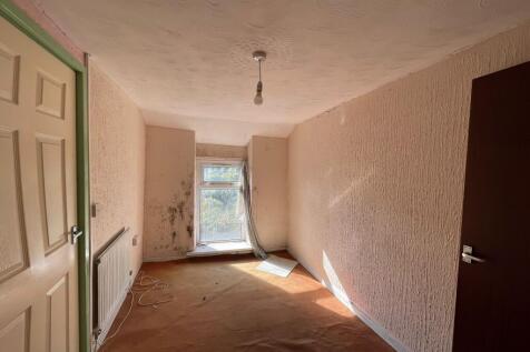 IMG 1575 T202510141504.jpeg