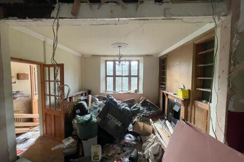 IMG 2151 T202511191250.jpeg