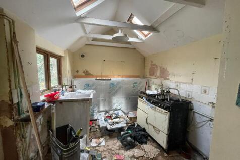 IMG 2153 T202511191250.jpeg