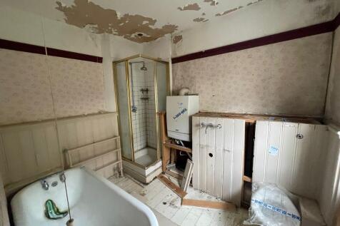 IMG 2161 T202511191250.jpeg