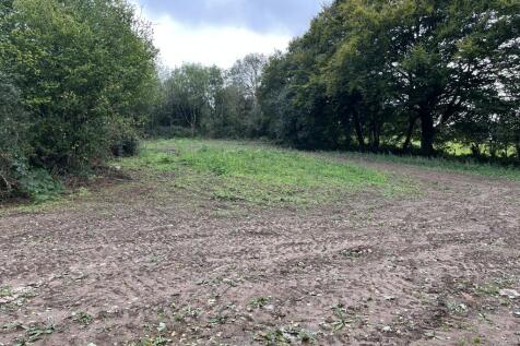 2025-09-15 Top Field Photo 2 T202511201049.jpg