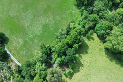 Woodland T202511101300.jpg