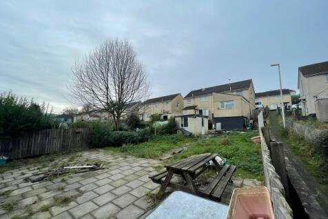 IMG 2350 T202511261337.jpeg