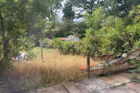 IMG 0337 T202508271026.jpeg