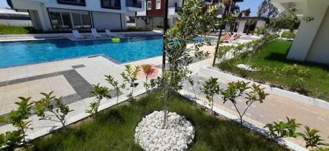 pool and garden