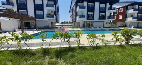 pool and garden