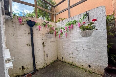 Back Garden