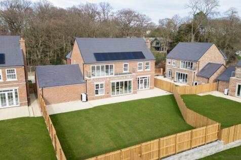 Property Image 42