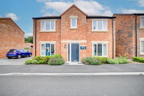 Property Image 49