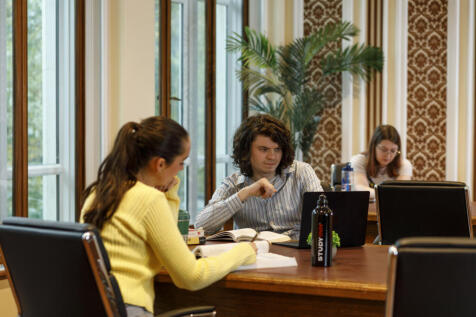 Study area