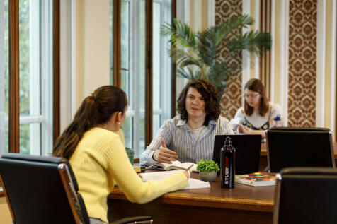 Study area