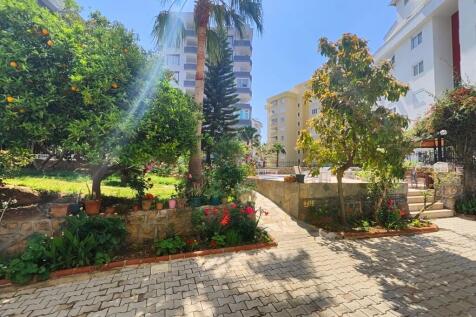 Property Image 16